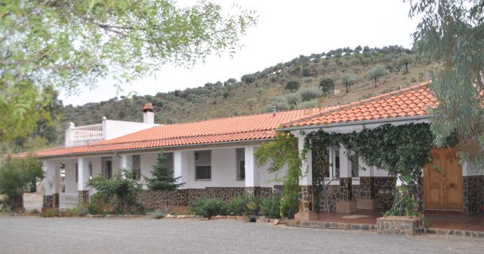 buen samaritano
