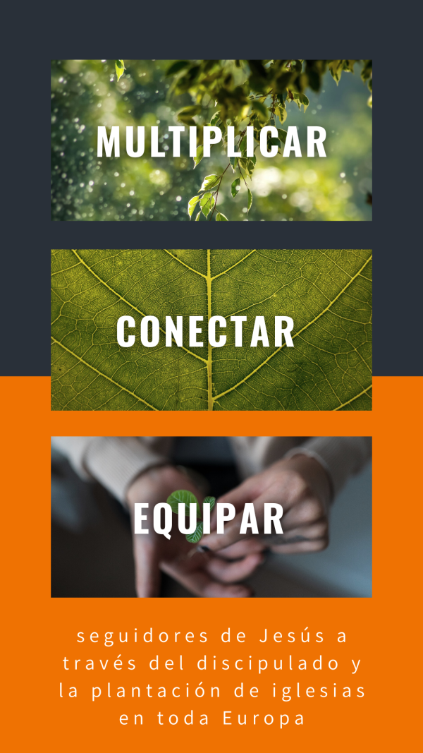 ECM Website phone MISSION ES